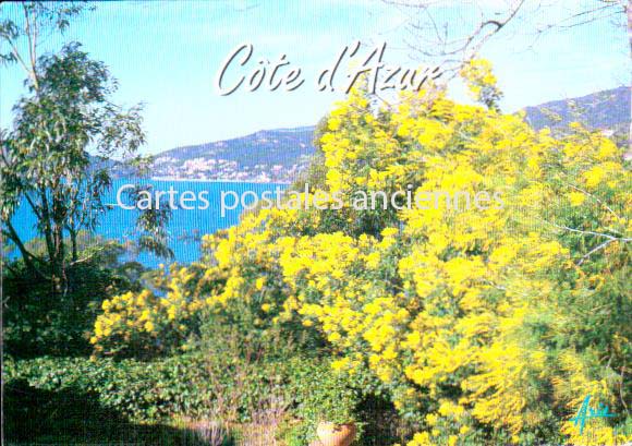 Cartes postales anciennes > CARTES POSTALES > carte postale ancienne > cartes-postales-ancienne.com Provence alpes cote d'azur Var Cavalaire Sur Mer