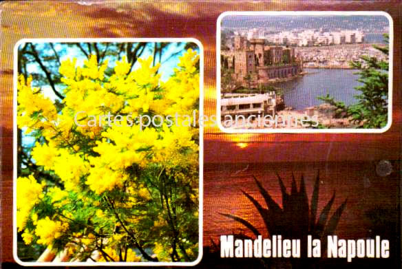 Cartes postales anciennes > CARTES POSTALES > carte postale ancienne > cartes-postales-ancienne.com Provence alpes cote d'azur Alpes maritimes Mandelieu La Napoule