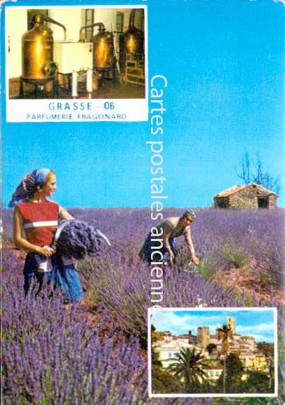 Cartes postales anciennes > CARTES POSTALES > carte postale ancienne > cartes-postales-ancienne.com  Grasse