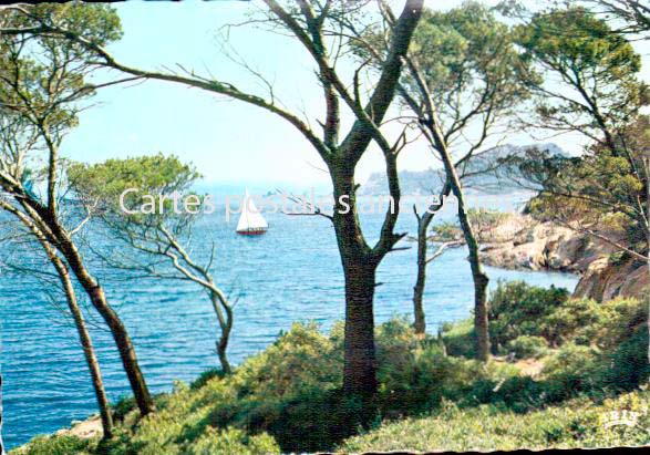 Cartes postales anciennes > CARTES POSTALES > carte postale ancienne > cartes-postales-ancienne.com Provence alpes cote d'azur Var Port Grimaud