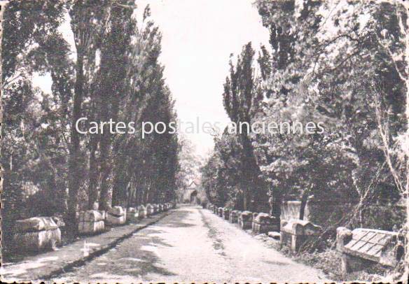 Cartes postales anciennes > CARTES POSTALES > carte postale ancienne > cartes-postales-ancienne.com  Vallauris