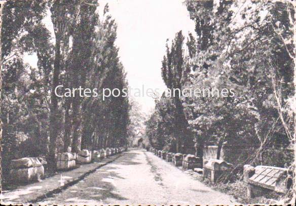 Cartes postales anciennes > CARTES POSTALES > carte postale ancienne > cartes-postales-ancienne.com Provence alpes cote d'azur Alpes maritimes Vallauris