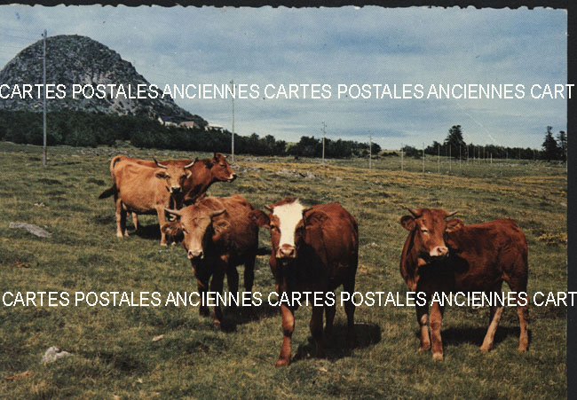 Cartes postales anciennes > CARTES POSTALES > carte postale ancienne > cartes-postales-ancienne.com Ardeche  Sainte Eulalie