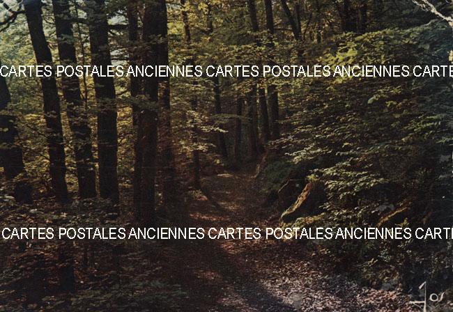 Cartes postales anciennes > CARTES POSTALES > carte postale ancienne > cartes-postales-ancienne.com Ardeche  Saint Laurent Les Bains