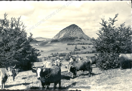 Cartes postales anciennes > CARTES POSTALES > carte postale ancienne > cartes-postales-ancienne.com Auvergne rhone alpes Ardeche Sainte Eulalie