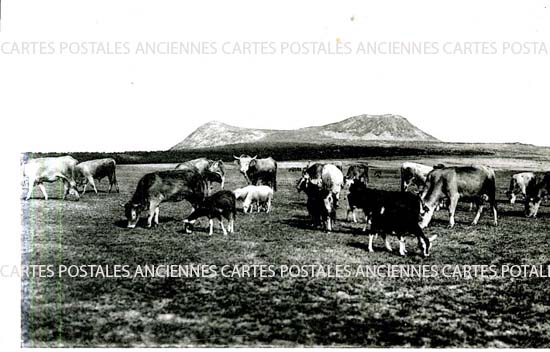 Cartes postales anciennes > CARTES POSTALES > carte postale ancienne > cartes-postales-ancienne.com Ardeche