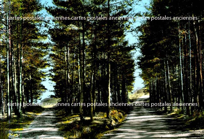 Cartes postales anciennes > CARTES POSTALES > carte postale ancienne > cartes-postales-ancienne.com Ardeche  Saint Barthelemy Grozon