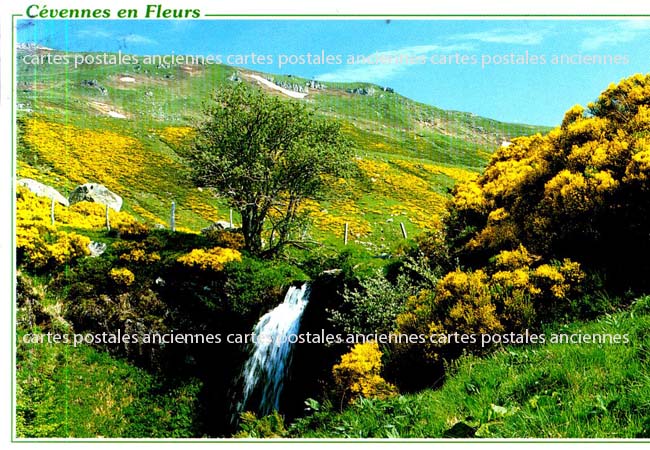 Cartes postales anciennes > CARTES POSTALES > carte postale ancienne > cartes-postales-ancienne.com Ardeche