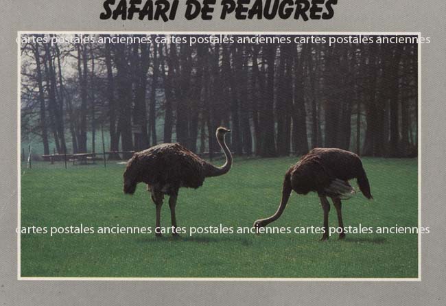Cartes postales anciennes > CARTES POSTALES > carte postale ancienne > cartes-postales-ancienne.com Auvergne rhone alpes Ardeche Peaugres