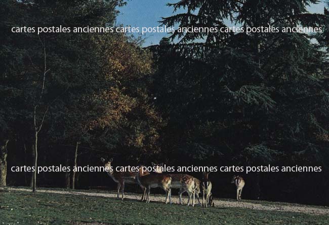 Cartes postales anciennes > CARTES POSTALES > carte postale ancienne > cartes-postales-ancienne.com Auvergne rhone alpes Ardeche Peaugres