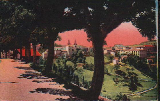 Cartes postales anciennes > CARTES POSTALES > carte postale ancienne > cartes-postales-ancienne.com Ardeche  Lalouvesc