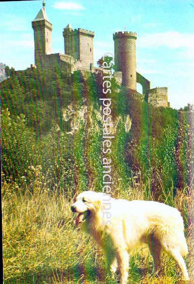Cartes postales anciennes > CARTES POSTALES > carte postale ancienne > cartes-postales-ancienne.com Occitanie Ariege Foix