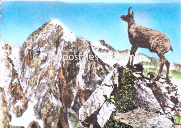 Cartes postales anciennes > CARTES POSTALES > carte postale ancienne > cartes-postales-ancienne.com Occitanie Ariege Foix