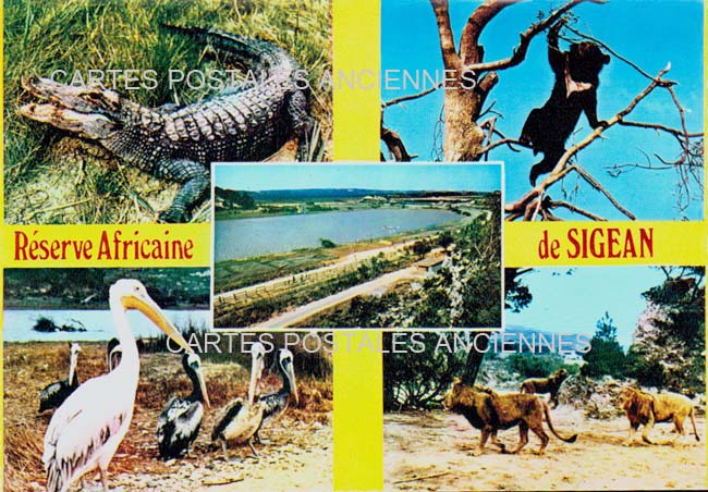 Cartes postales anciennes > CARTES POSTALES > carte postale ancienne > cartes-postales-ancienne.com Occitanie Aude Sigean