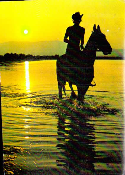 Cartes postales anciennes > CARTES POSTALES > carte postale ancienne > cartes-postales-ancienne.com Aude  Port La Nouvelle