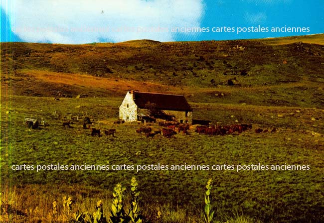 Cartes postales anciennes > CARTES POSTALES > carte postale ancienne > cartes-postales-ancienne.com Occitanie Aveyron