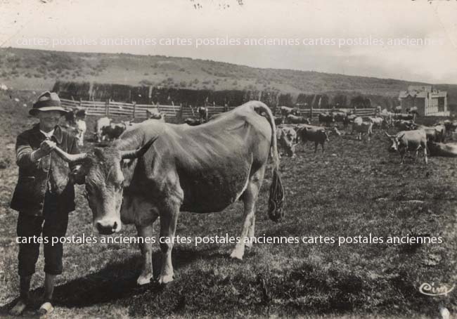 Cartes postales anciennes > CARTES POSTALES > carte postale ancienne > cartes-postales-ancienne.com Occitanie Aveyron