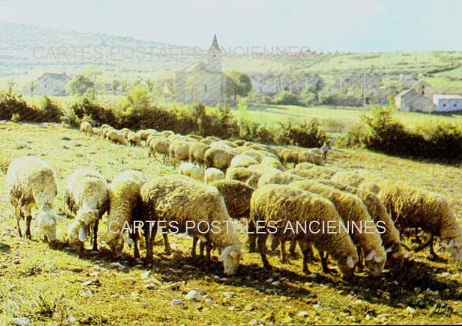 Cartes postales anciennes > CARTES POSTALES > carte postale ancienne > cartes-postales-ancienne.com Aveyron  Millau