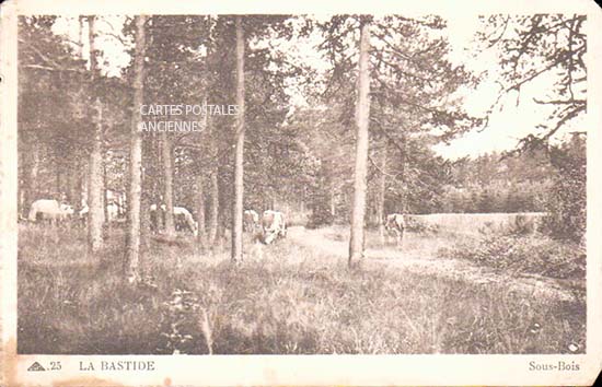 Cartes postales anciennes > CARTES POSTALES > carte postale ancienne > cartes-postales-ancienne.com Aveyron  La Bastide L Eveque