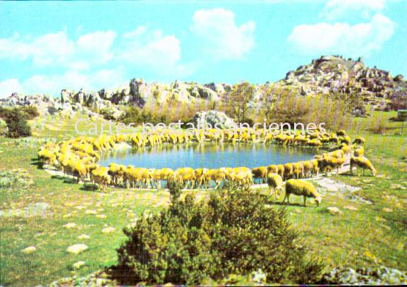Cartes postales anciennes > CARTES POSTALES > carte postale ancienne > cartes-postales-ancienne.com Aveyron  Roquefort Sur Soulzon