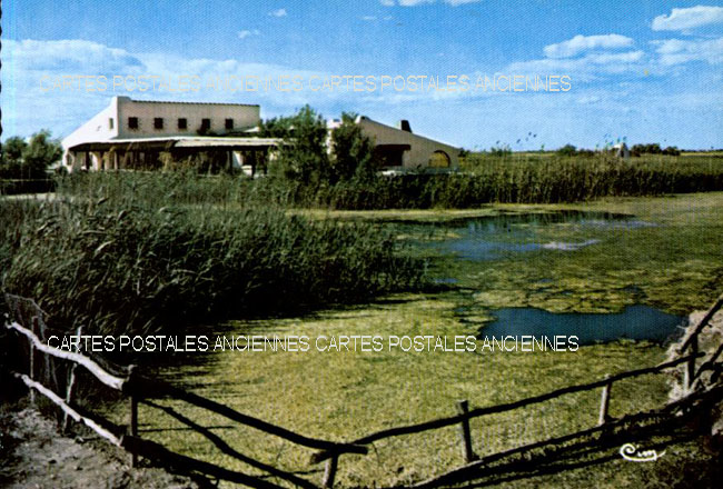 Cartes postales anciennes > CARTES POSTALES > carte postale ancienne > cartes-postales-ancienne.com Occitanie Aigues Mortes