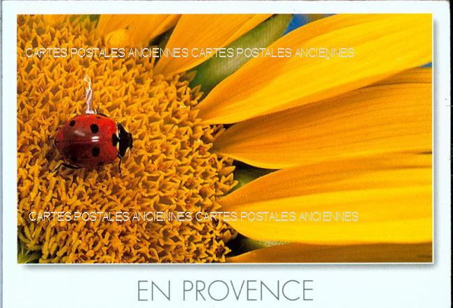 Cartes postales anciennes > CARTES POSTALES > carte postale ancienne > cartes-postales-ancienne.com Bouches du rhone