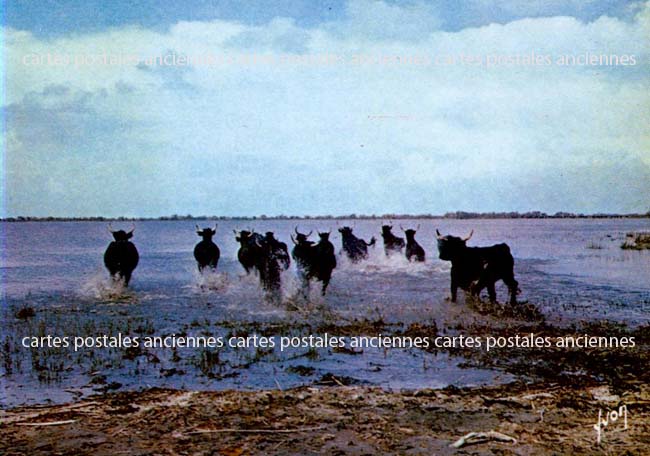 Cartes postales anciennes > CARTES POSTALES > carte postale ancienne > cartes-postales-ancienne.com Bouches du rhone