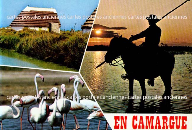 Cartes postales anciennes > CARTES POSTALES > carte postale ancienne > cartes-postales-ancienne.com Bouches du rhone