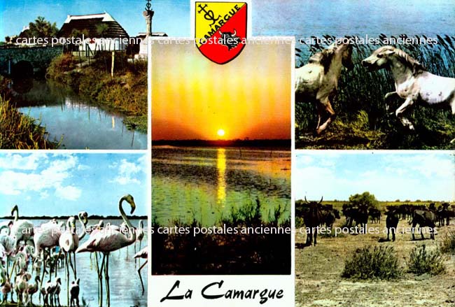 Cartes postales anciennes > CARTES POSTALES > carte postale ancienne > cartes-postales-ancienne.com Bouches du rhone