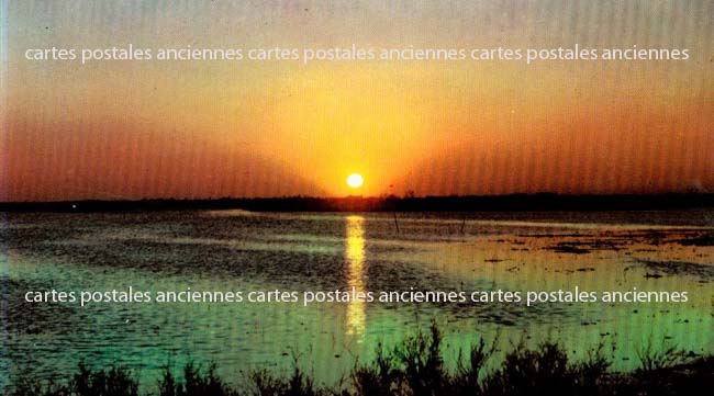 Cartes postales anciennes > CARTES POSTALES > carte postale ancienne > cartes-postales-ancienne.com Bouches du rhone