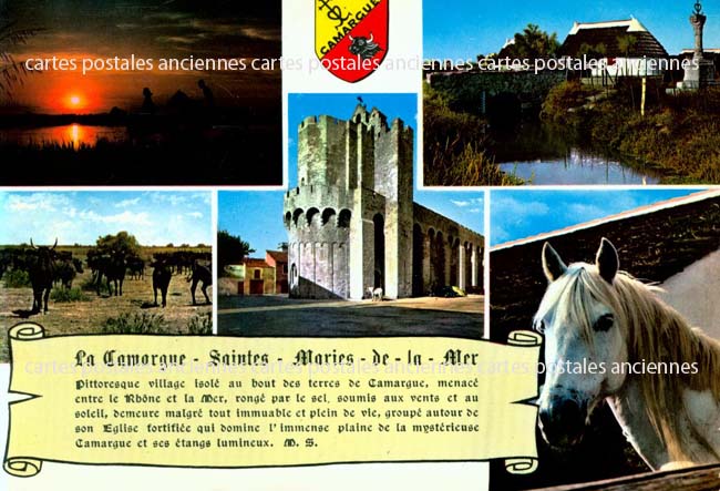 Cartes postales anciennes > CARTES POSTALES > carte postale ancienne > cartes-postales-ancienne.com Bouches du rhone  Saintes Maries De La Mer