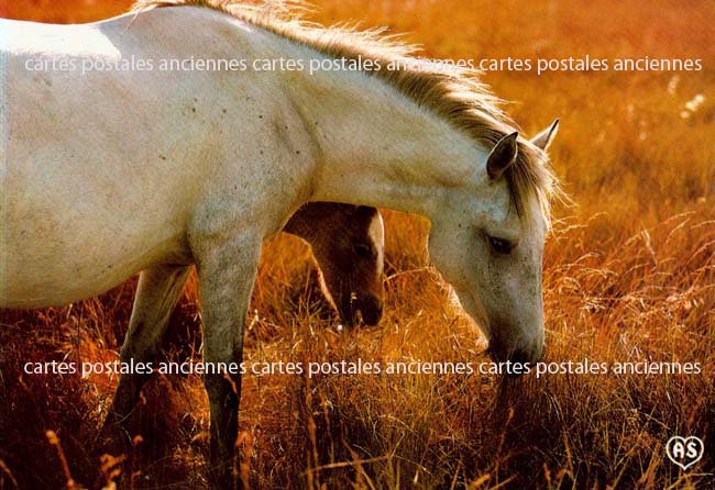 Cartes postales anciennes > CARTES POSTALES > carte postale ancienne > cartes-postales-ancienne.com Bouches du rhone