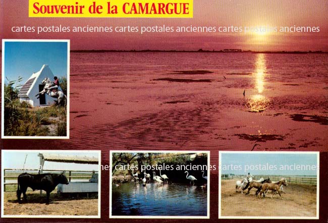 Cartes postales anciennes > CARTES POSTALES > carte postale ancienne > cartes-postales-ancienne.com Bouches du rhone