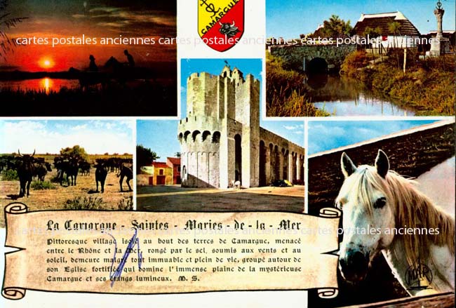 Cartes postales anciennes > CARTES POSTALES > carte postale ancienne > cartes-postales-ancienne.com Bouches du rhone  Saintes Maries De La Mer