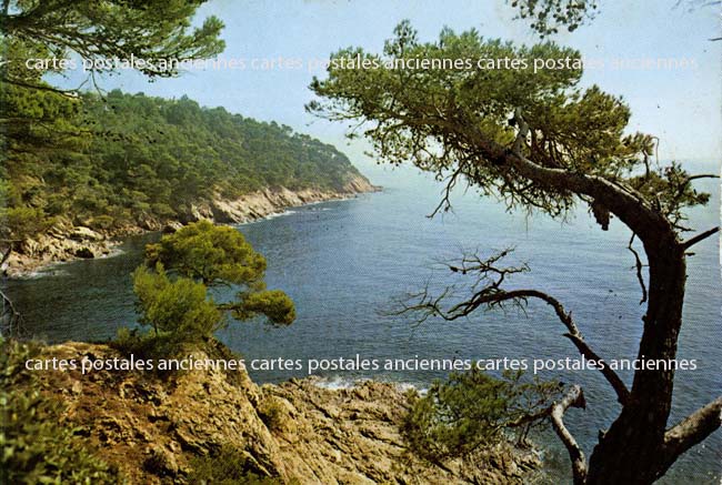 Cartes postales anciennes > CARTES POSTALES > carte postale ancienne > cartes-postales-ancienne.com Bouches du rhone