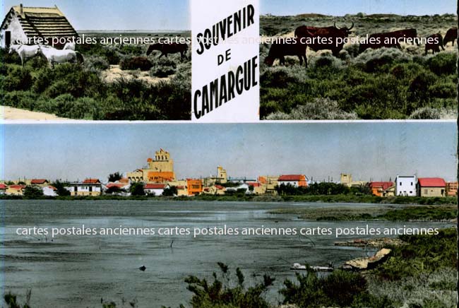 Cartes postales anciennes > CARTES POSTALES > carte postale ancienne > cartes-postales-ancienne.com Bouches du rhone