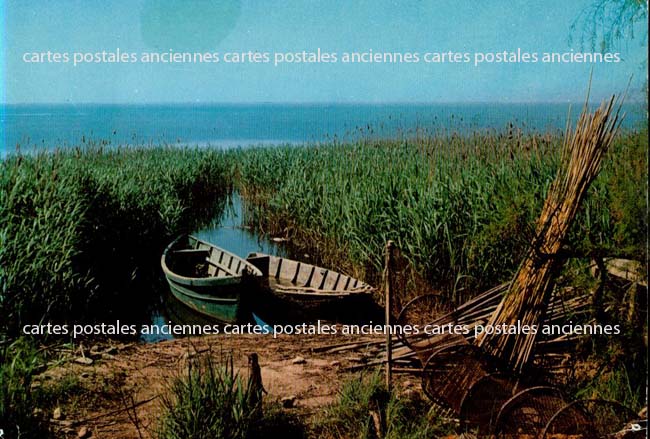 Cartes postales anciennes > CARTES POSTALES > carte postale ancienne > cartes-postales-ancienne.com Occitanie Gard Aimargues