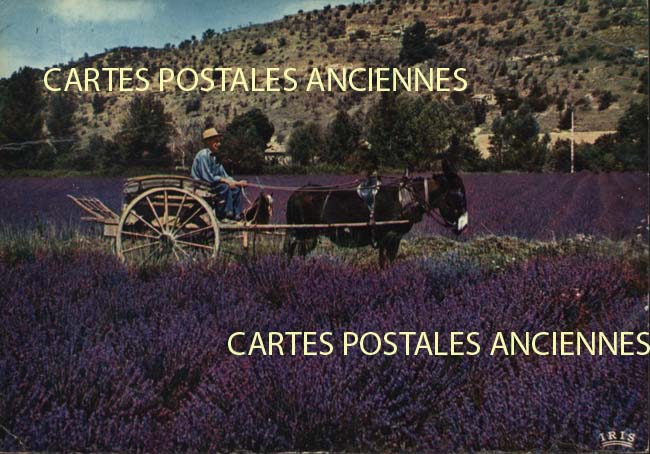 Cartes postales anciennes > CARTES POSTALES > carte postale ancienne > cartes-postales-ancienne.com Provence alpes cote d'azur Bouches du rhone Saint Remy De Provence