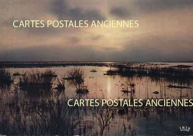 Cartes postales anciennes > CARTES POSTALES > carte postale ancienne > cartes-postales-ancienne.com Bouches du rhone  Saintes Maries De La Mer