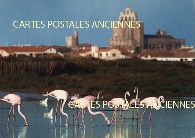 Cartes postales anciennes > CARTES POSTALES > carte postale ancienne > cartes-postales-ancienne.com Bouches du rhone  Saintes Maries De La Mer