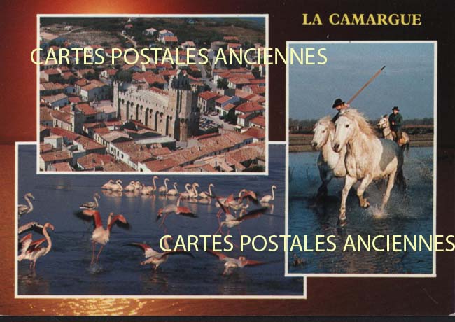 Cartes postales anciennes > CARTES POSTALES > carte postale ancienne > cartes-postales-ancienne.com Bouches du rhone  Saintes Maries De La Mer