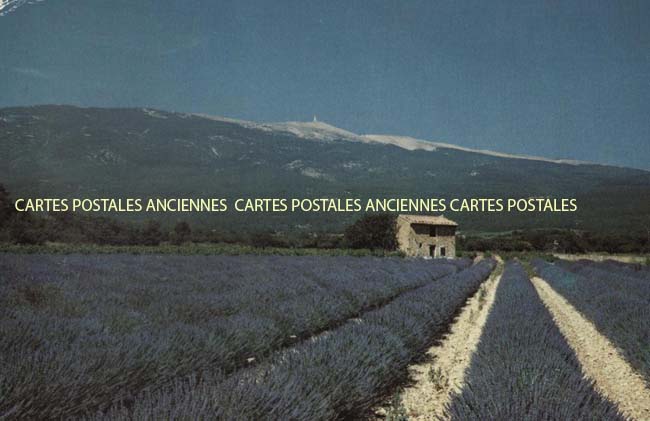 Cartes postales anciennes > CARTES POSTALES > carte postale ancienne > cartes-postales-ancienne.com Provence alpes cote d'azur Bouches du rhone Lambesc