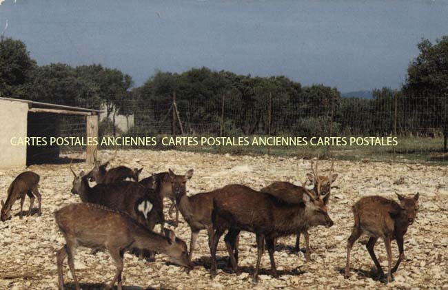 Cartes postales anciennes > CARTES POSTALES > carte postale ancienne > cartes-postales-ancienne.com Provence alpes cote d'azur Bouches du rhone Pelissanne