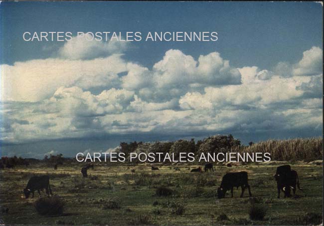 Cartes postales anciennes > CARTES POSTALES > carte postale ancienne > cartes-postales-ancienne.com Bouches du rhone  Saintes Maries De La Mer