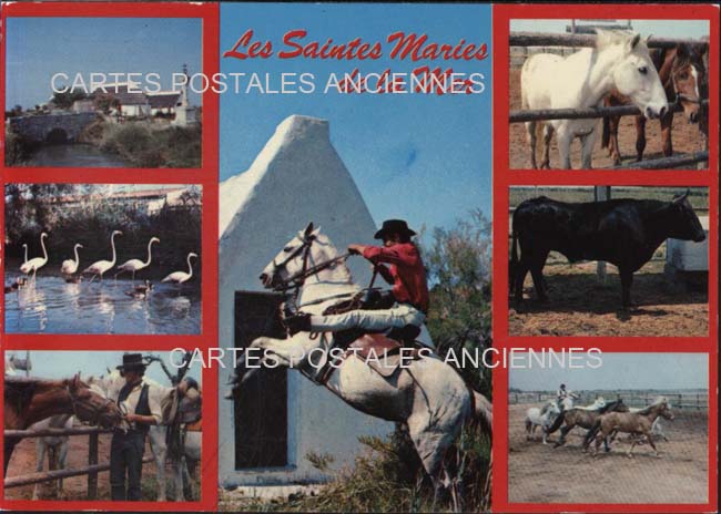 Cartes postales anciennes > CARTES POSTALES > carte postale ancienne > cartes-postales-ancienne.com Bouches du rhone  Saintes Maries De La Mer