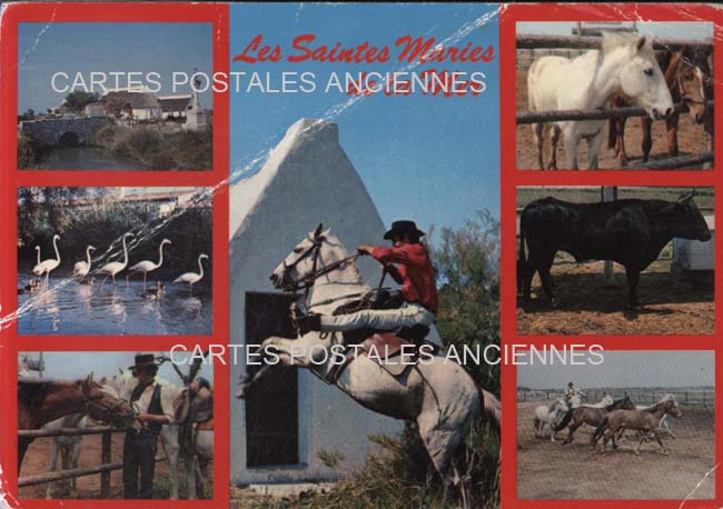 Cartes postales anciennes > CARTES POSTALES > carte postale ancienne > cartes-postales-ancienne.com Bouches du rhone  Saintes Maries De La Mer