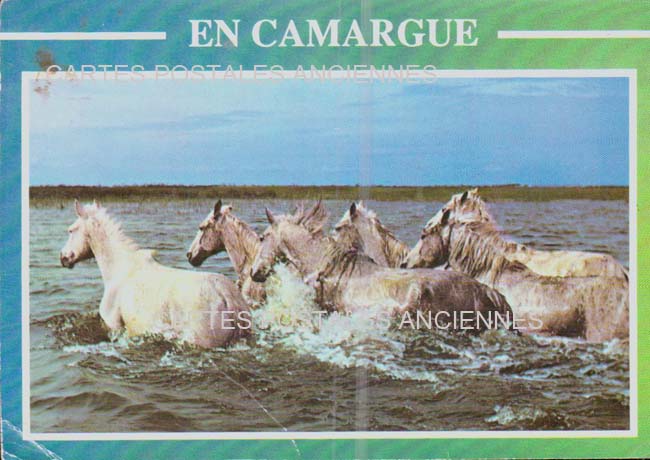 Cartes postales anciennes > CARTES POSTALES > carte postale ancienne > cartes-postales-ancienne.com Bouches du rhone  Saintes Maries De La Mer