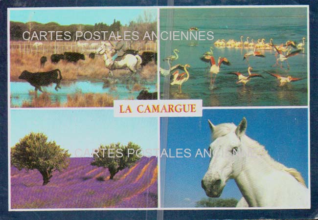 Cartes postales anciennes > CARTES POSTALES > carte postale ancienne > cartes-postales-ancienne.com Bouches du rhone  Saintes Maries De La Mer