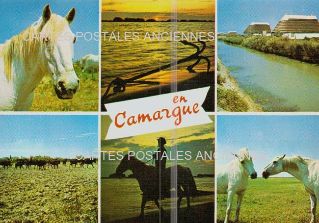 Cartes postales anciennes > CARTES POSTALES > carte postale ancienne > cartes-postales-ancienne.com Bouches du rhone  Saintes Maries De La Mer