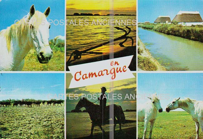 Cartes postales anciennes > CARTES POSTALES > carte postale ancienne > cartes-postales-ancienne.com Bouches du rhone  Saintes Maries De La Mer